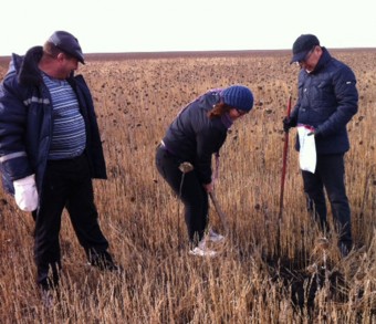 Мариана Кантюр (в центре), Мухамбетжан Акулов (справа) проверка соотвествия требованиям  органического земледелия