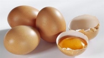 яйца 2