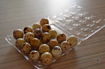 Яйца-перепелов-считаются-полезным-продуктом-копия