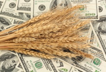 обзор зернового рынка