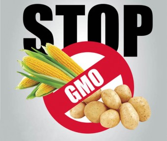 GMO_stop