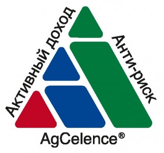 AAA logo-1