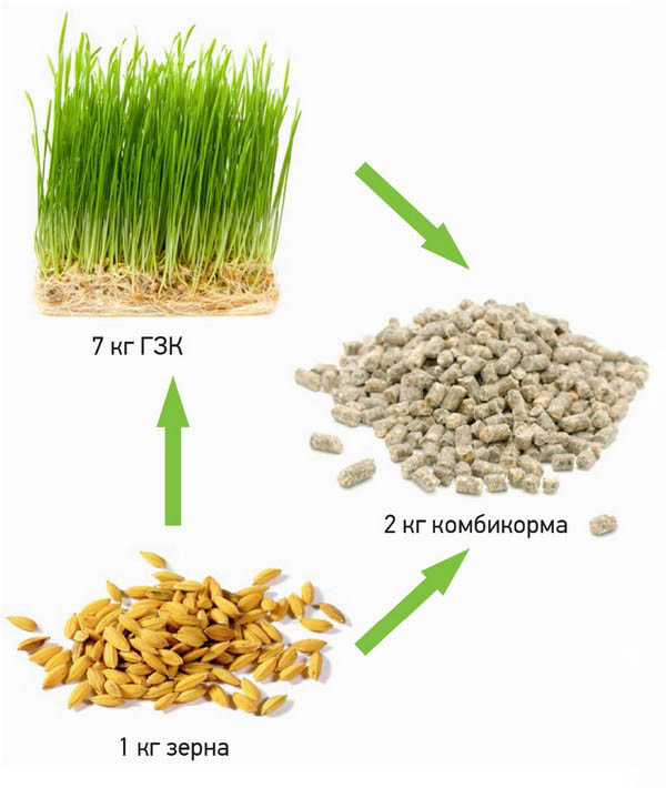 Изготовление кормосмесей своими руками