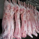 Жамбылская область поставляет мясо в Иран