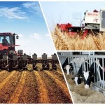 Как сельхозпроизводители восприняли новые реформы Токаева