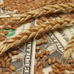 Обзор зернового рынка от 17 августа 2020 года