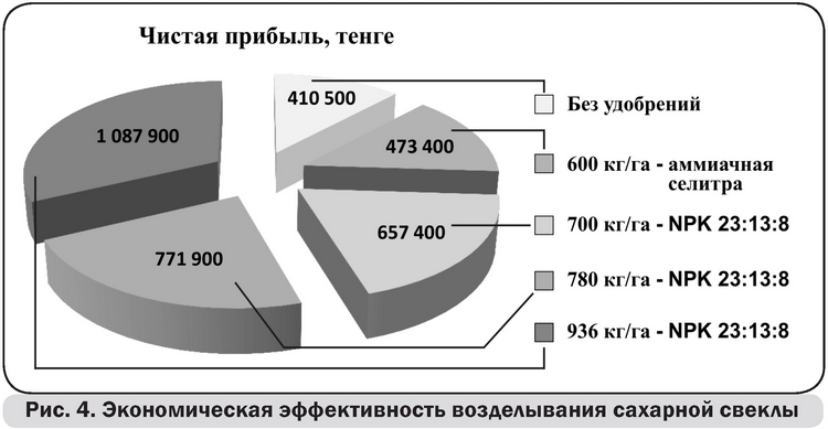 Субъекты выращивания сахарной свеклы