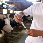 Эксперты: «Применяйте антибиотики ответственно или серьёзных последствий не избежать» 