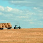 Итоги опроса: К чему, на ваш взгляд, приведёт тотальная кооперация ЛПХ в Казахстане?