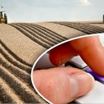 В МСХ РК предлагают ввести единый аграрный налог на землю