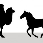 Бешенство у лошадей и верблюдов подтвердилось в Мангистауской области