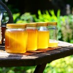 В какие страны экспортируют казахстанский мёд