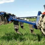 Возделывание пропашных культур по технологии «Strip-Till» в условиях юга Казахстана