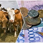 Минсельхоз РК предлагает внести изменения в животноводческие субсидии