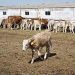 Национальная сельскохозяйственная перепись стартовала в Казахстане