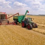 Урожайность зерновых в Казахстане почти в два раза ниже прошлогодней