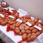 В Восточном Казахстане вывели картофель для диабетиков 