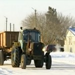 Как переселенцы с юга обустраиваются в Костанайской области