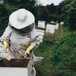 Пчеловоды Алакольского района собрали хороший урожай мёда
