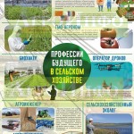 Инфографика «Профессии будущего в сельском хозяйстве»