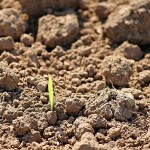 Казахстан запускает широкомасштабный проект по агрохимическому анализу почвы