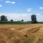 Казахстанские фермеры могут воспользоваться интерактивной картой сельхозугодий