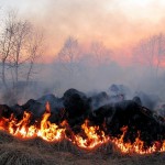 В Карагандинской области горящая степь грозит разорением местным фермерам