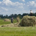 Фермеры в отчаянии. В полях не хватает рабочих, а иностранцев выдворяют из страны