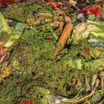 Проблема пищевых отходов может решаться по-новому