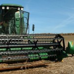 До 46 центнеров с гектара: в Жамбылском районе Северного Казахстана – рекордный урожай