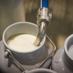 Из-за чего может сократиться выпуск казахстанской молочной продукции?