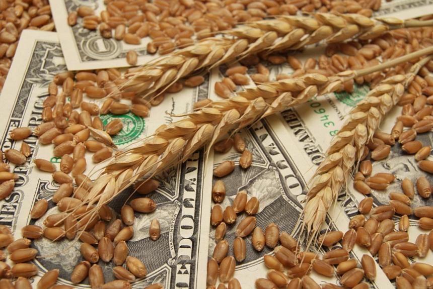 Обзор зернового рынка от 17 сентября 2021 года