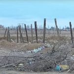 Домашний скот гибнет на мусорном полигоне в Атырауской области