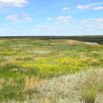 В Казахстане повысят налог на неиспользуемые земли сельхозназначения