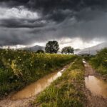 Аграриям советуют ускорить темп посевных работ в связи с прогнозом дождей