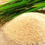 В Казахстане произвели свыше 54 тысяч тонн риса