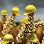 Минсельхоз РК вновь намерен субсидировать агрострахование