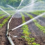 Сенаторы намерены помочь жамбылским аграриям решить проблемы с поливной водой