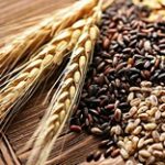 Новый отчет FAS USDA по пшенице вышел не настолько «бычьим», как ожидалось…