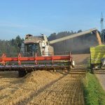 Убрано 81,3% уборочной площади зерновых и зернобобовых культур – МСХ РК