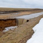 Паводки в Казахстане: как стихия повлияла на сельское хозяйство