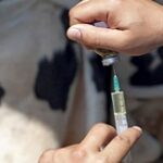 В Минсельхозе опровергли информацию о нехватке вакцин от ящура и сокрытии случаев заражения