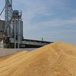 В Казахстане предложили закупить ещё пшеницы в стабфонды