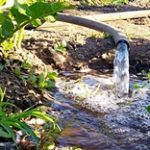 Как преодолеть проблемы, связанные с водой, в сельском хозяйстве