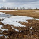 Дефицит воды в Кызылординской области заставил сельхозработников перейти на smart-технологии