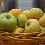 Сок из 32 сортов яблок будут производить в Атырауской области