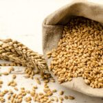 Вдвое меньше от ожидаемого урожая пшеницы получили аграрии Костанайской области