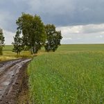 Казахстанские фермеры не смогут закладывать землю для получения кредита в банках ЕАЭС