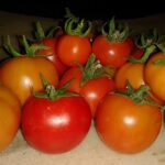 Россельхознадзор частично снимает временные ограничения на ввоз томатов из Казахстана