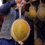 Уникальную технологию хранения бахчевых используют фермеры в Узбекистане